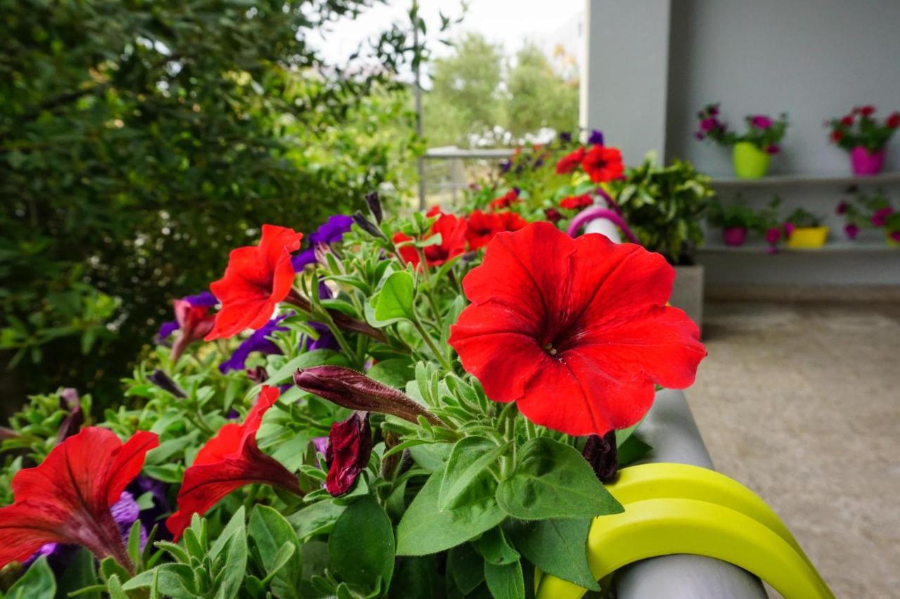 Apartman Nena